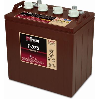 Trojan akku T-875 8V 170Ah/20hr - Putki- ja massalevyakut - 5123450 - 1