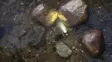 Otsavalo ArmyTek ladattava Elf C1 - Otsavalot - 6957713005331 - 9