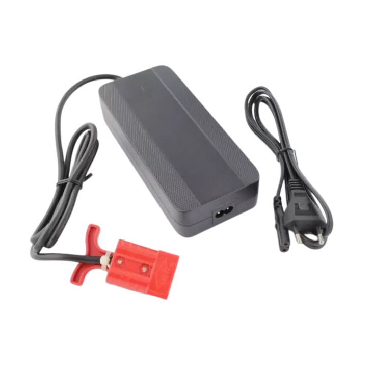 Hako Scrubmaster B3 Laturi 36V - Laturi- ja virtalähdetarvikkeet - 24752 - 1