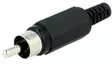 RCA Liitin uros - Audio-videoliittimet - 100006 - 1
