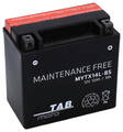 TAB Mp-Akku YTX14L-BS/MYTX14L-BS 12V 12Ah 180A - AGM MP- ja kelkan akut - 8435336180607 - 1